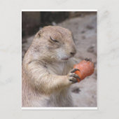 Carte Postale Carotte (Devant)