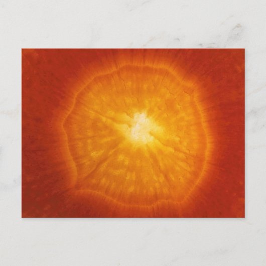 Carte Postale Carotte (Devant)