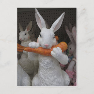 Carte Postale Carotte mangeuse de lapin