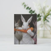 Carte Postale Carotte mangeuse de lapin (Debout devant)