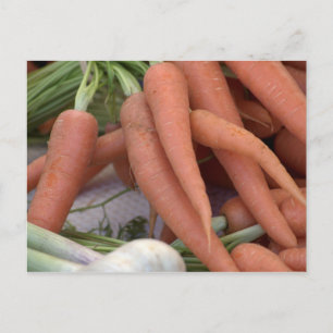 Carte Postale Carottes