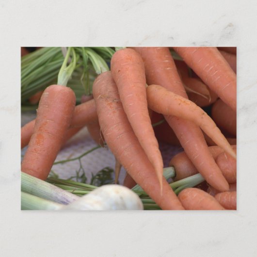 Carte Postale Carottes (Devant)