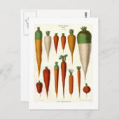 Carte Postale Carottes (Devant / Derrière)