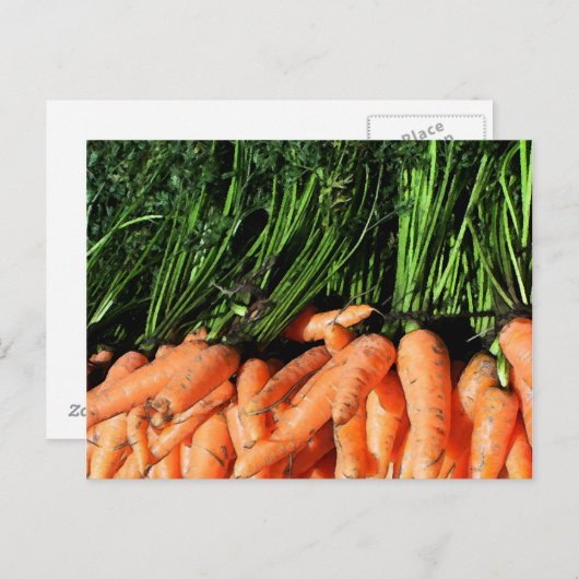 Carte Postale Carottes (Devant / Derrière)