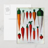 Carte Postale Carottes (Devant / Derrière)