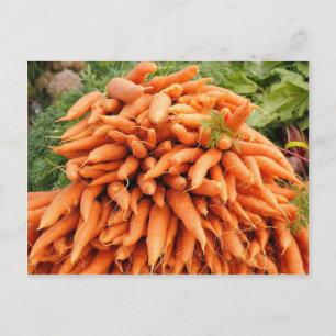 Carte Postale Carottes sur le marché des fermiers