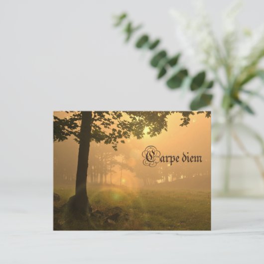 Carte postale Carpe (Debout devant)