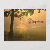 Carte postale Carpe (Devant)