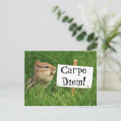 Carte Postale Carpe Diem ! Chipmunk avec signe (Debout devant)