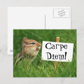 Carte Postale Carpe Diem ! Chipmunk avec signe (Devant / Derrière)