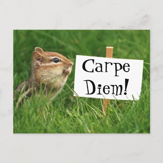 Carte Postale Carpe Diem ! Chipmunk avec signe (Devant)