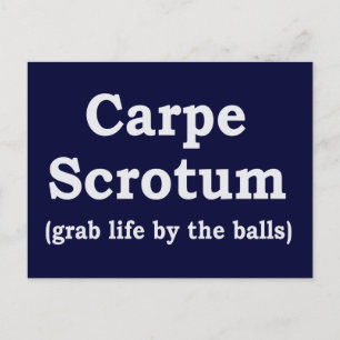 Carte Postale Carpe Scrotum
