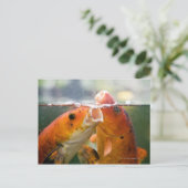 Carte Postale Carpes de Koi (Debout devant)