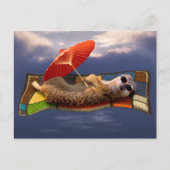 Carte postale Carpette magique (Devant)