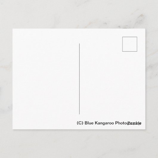 Carte Postale Carré de la cathédrale de Peterborough (Dos)