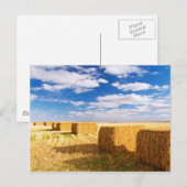 Carte Postale Carré Hay Bales (Devant / Derrière)