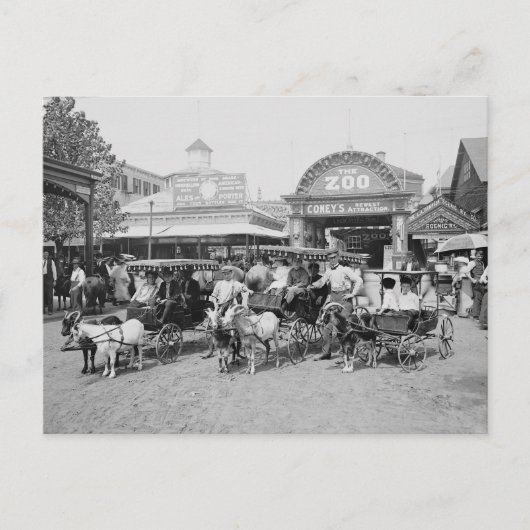 Carte Postale Carriages de chèvres à Coney Island, 1910 (Devant)
