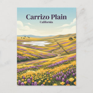 Carte Postale Carrizo Plain National Monument États-Unis