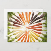 Carte Postale Carrot Color (Devant / Derrière)