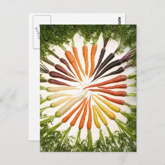 Carte Postale Carrot Color (Devant / Derrière)