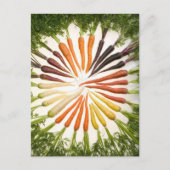 Carte Postale Carrot Color (Devant)