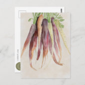 Carte Postale Carrots, 5x7 Post Card (Devant / Derrière)