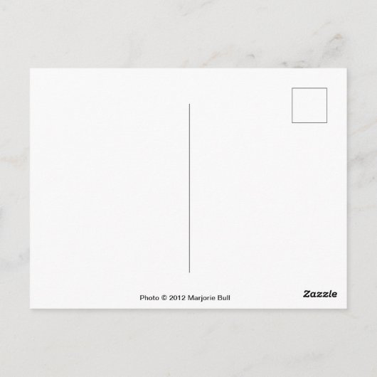 Carte postale carrousel (Dos)