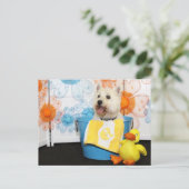 Carte Postale Carson - West Highland Terrier -6 (Debout devant)