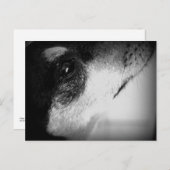 Carte Postale Cartão Postal : Thor (Devant / Derrière)