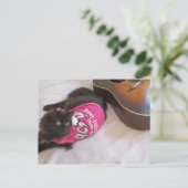 Carte Postale carte-chemise acdc (Debout devant)