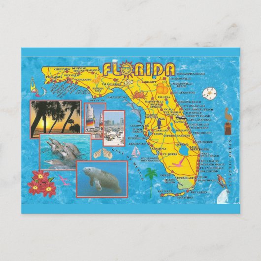 Carte postale Carte de l'État de Floride (Devant)