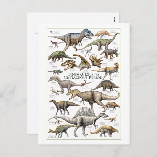 Carte postale Carte graphique Dinosaur (Devant / Derrière)