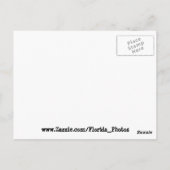 Carte postale Carte La Florida 1584 (Dos)