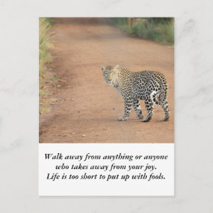 Carte Postale Carte: La vie est trop courte