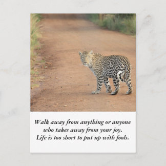 Carte Postale Carte: La vie est trop courte