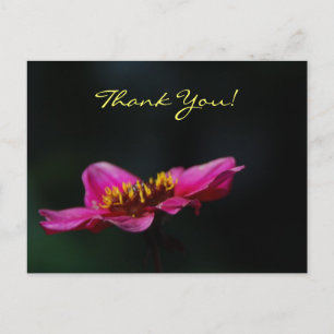 Carte Postale "Carte postale Merci"