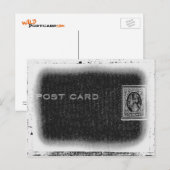 Carte Postale "Carte postale" (négative) (Devant / Derrière)
