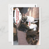 Carte Postale Cartes: Crapola (Devant / Derrière)