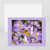 Carte Postale Carton de collecte des abeilles de fleurs de Crocu (Devant / Derrière)