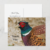 Carte Postale Carton de remerciement Faisan 3 (Devant / Derrière)