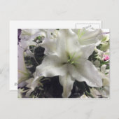 Carte postale Casablanca Lily (Devant / Derrière)