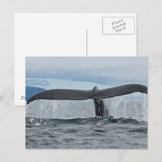 Carte Postale Cascade (Devant / Derrière)