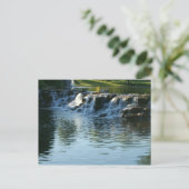 Carte Postale Cascade (Debout devant)