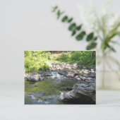 Carte Postale Cascade (Debout devant)