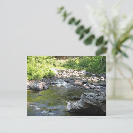 Carte Postale Cascade (Debout devant)