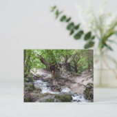 Carte Postale cascade (Debout devant)