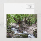 Carte Postale cascade (Devant / Derrière)