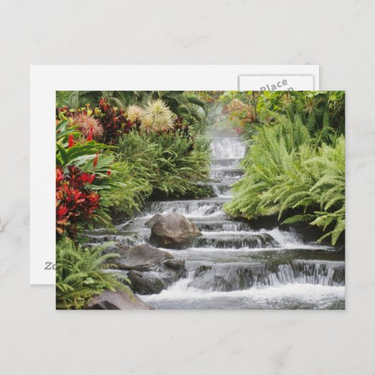 Carte Postale Cascade (Devant / Derrière)