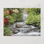 Carte Postale Cascade (Devant)