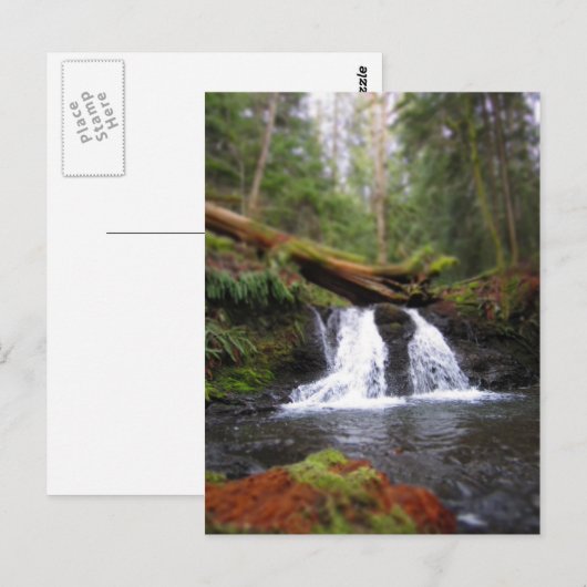 Carte Postale Cascade (Devant / Derrière)